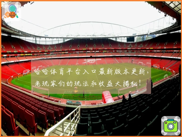 哈哈体育平台入口最新版本更新，老玩家们的玩法和收益大揭秘！