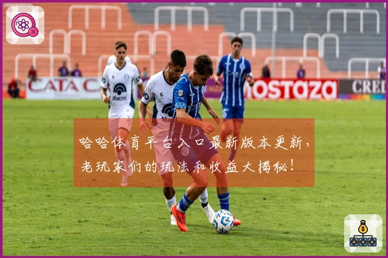 哈哈体育平台入口最新版本更新,老玩家们的玩法和收益大揭秘!