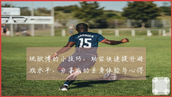 玩欧博的小技巧，助你快速提升游戏水平，分享我的亲身体验与心得！