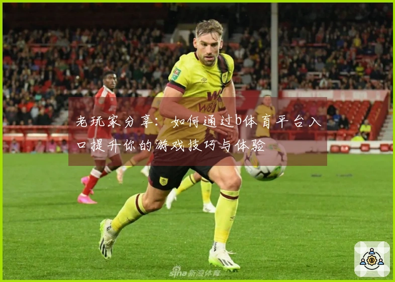 老玩家分享：如何通过b体育平台入口提升你的游戏技巧与体验